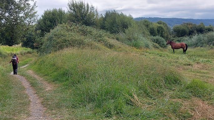 Camino Inglés, Angol-út