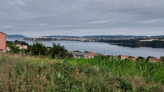 Camino Inglés - Angol út, táj