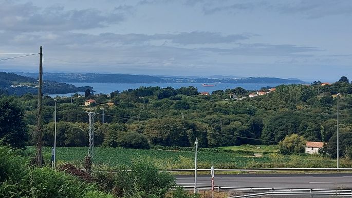 Camino Inglés - Angol út, táj