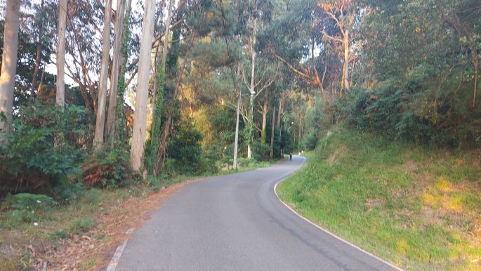 Camino Inglés, Angol út, erdei út