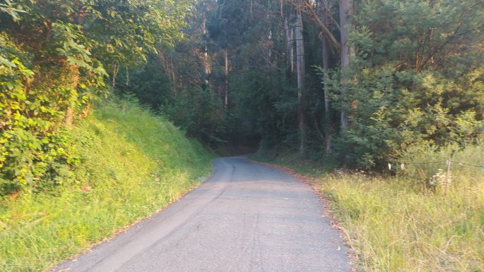 Camino Inglés, Angol út, aszfaltút