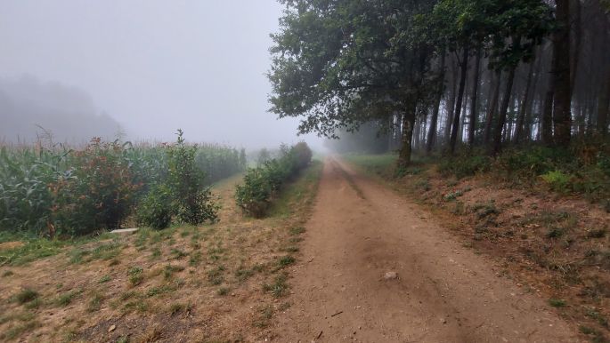 Camino Inglés, Angol út,