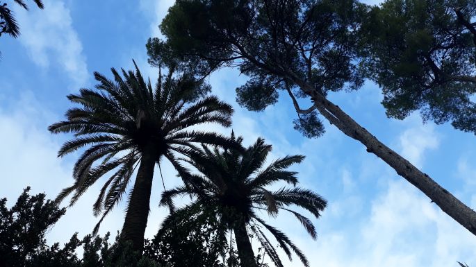 Barcelona, Güell Park