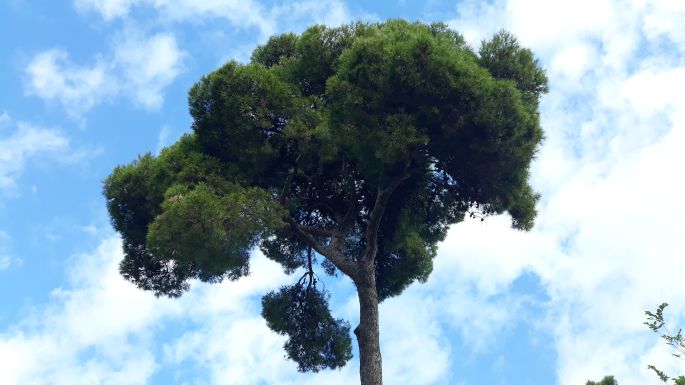 Barcelona, Güell Park