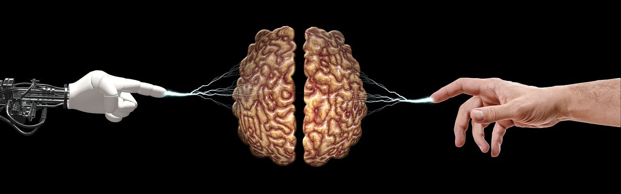 brain-5814961_1280.jpg