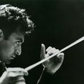 Békenagykövet karmesteri pálcával – Zubin Mehta