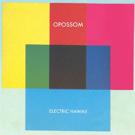 opossom electric hawaii.jpg