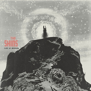 the shins.jpg