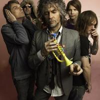the flaming lips girl in amber