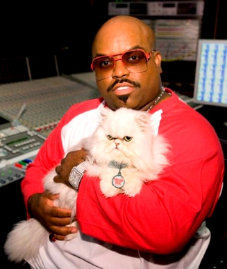 ceelo-cat.jpg