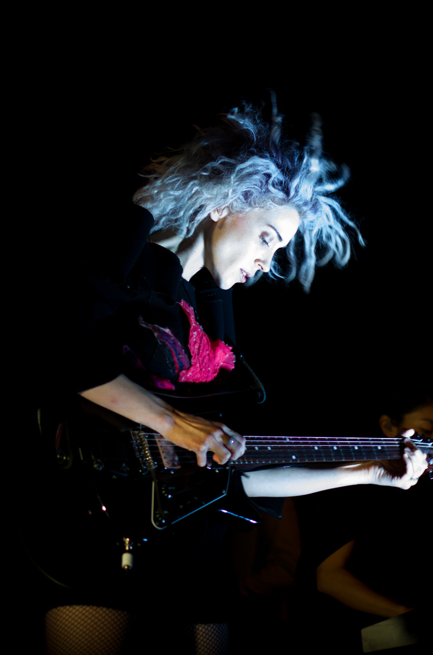 stvincent-para2.jpg