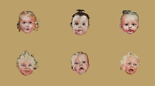 swans-babies.jpg