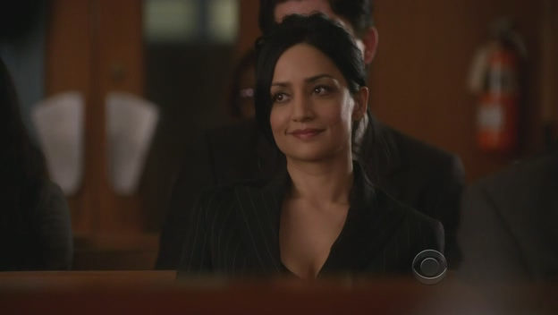 thegoodwife.png