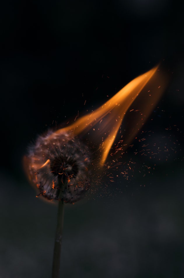 flame.jpg