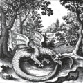 Uroboros 1. rész (Írások/10.)
