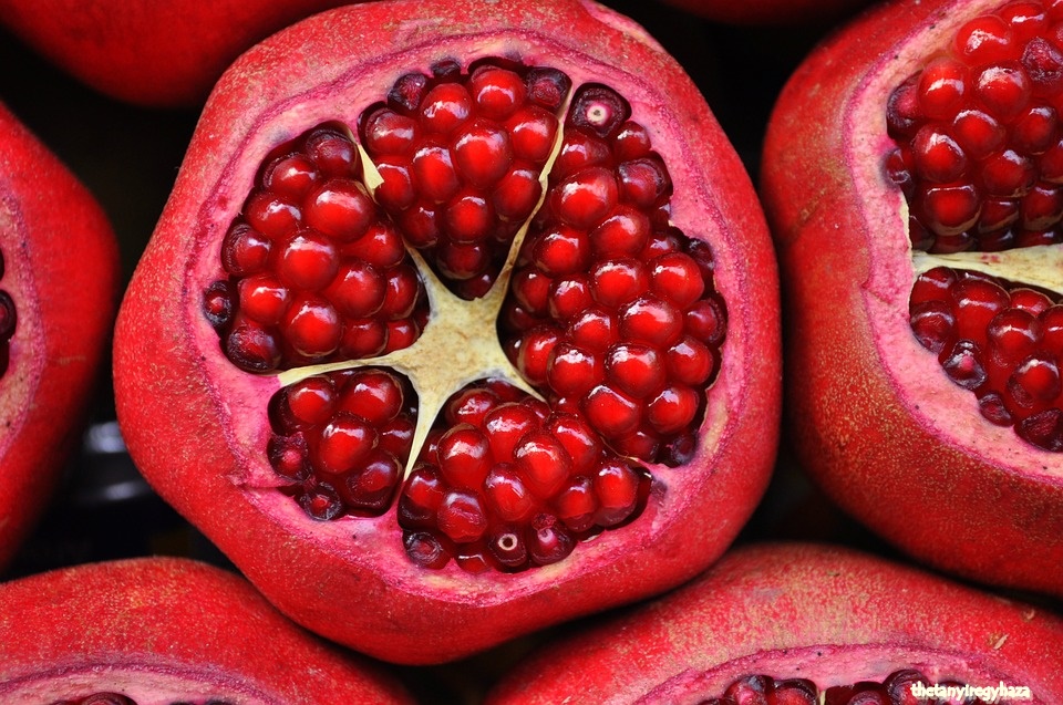 pomegranate-3383814_960_720.jpg