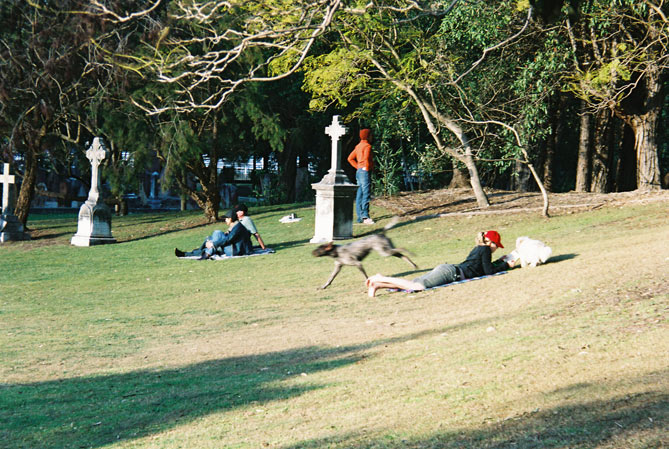 crows-nest-cemetery-picnic-n.jpg