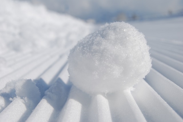 snowball-957759_640.jpg