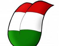 magyar_nyelv.jpg
