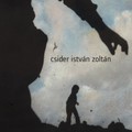 Csider István Zoltán - Rendrakás