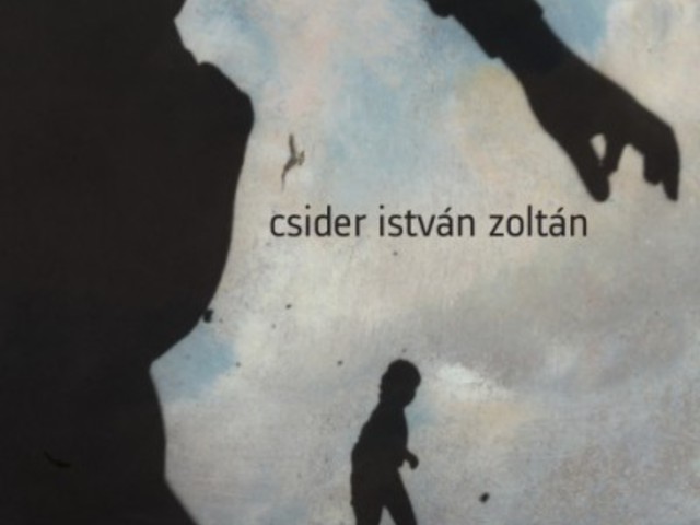 Csider István Zoltán - Rendrakás