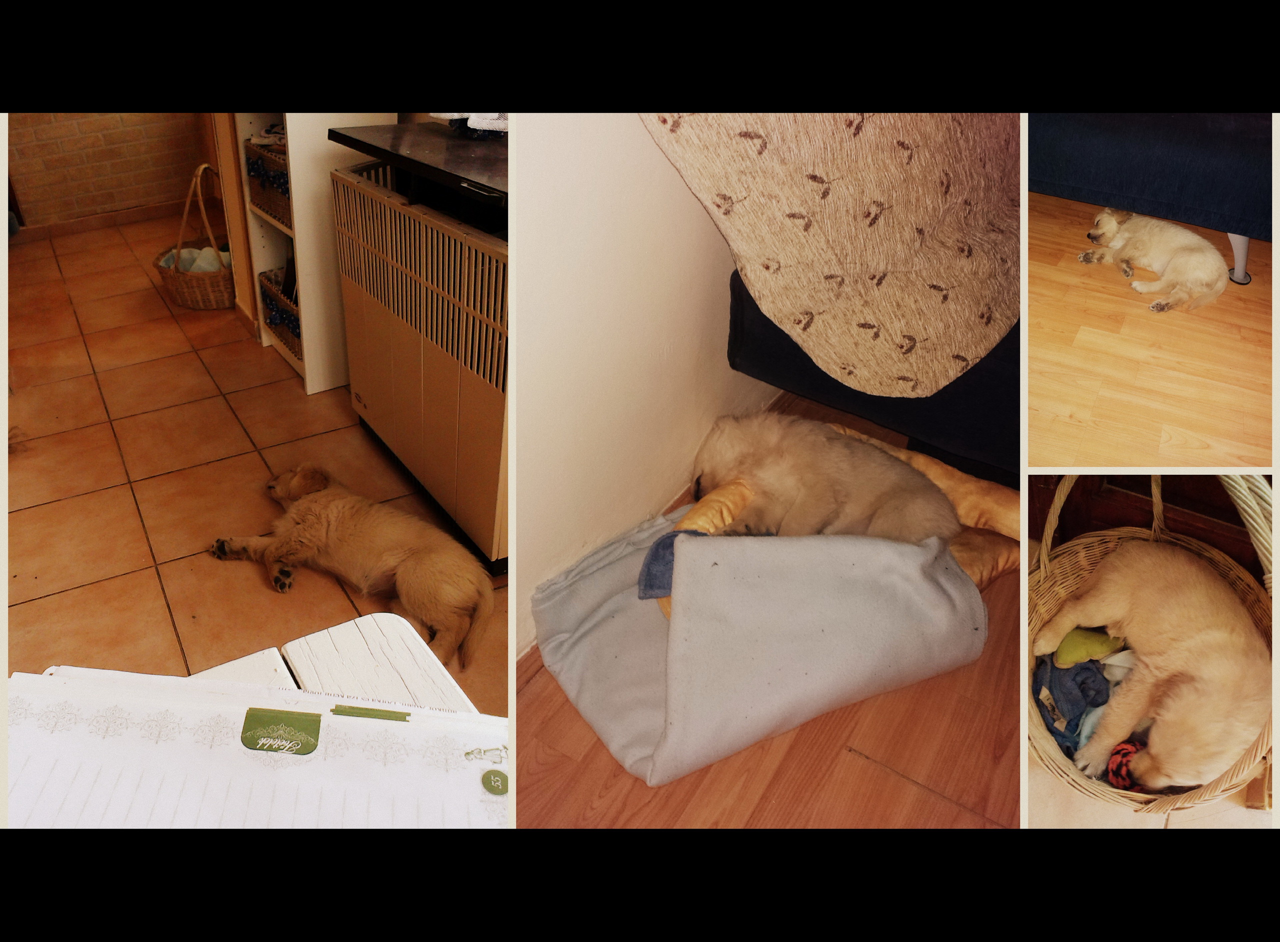 15_03_012_kk_k.jpg