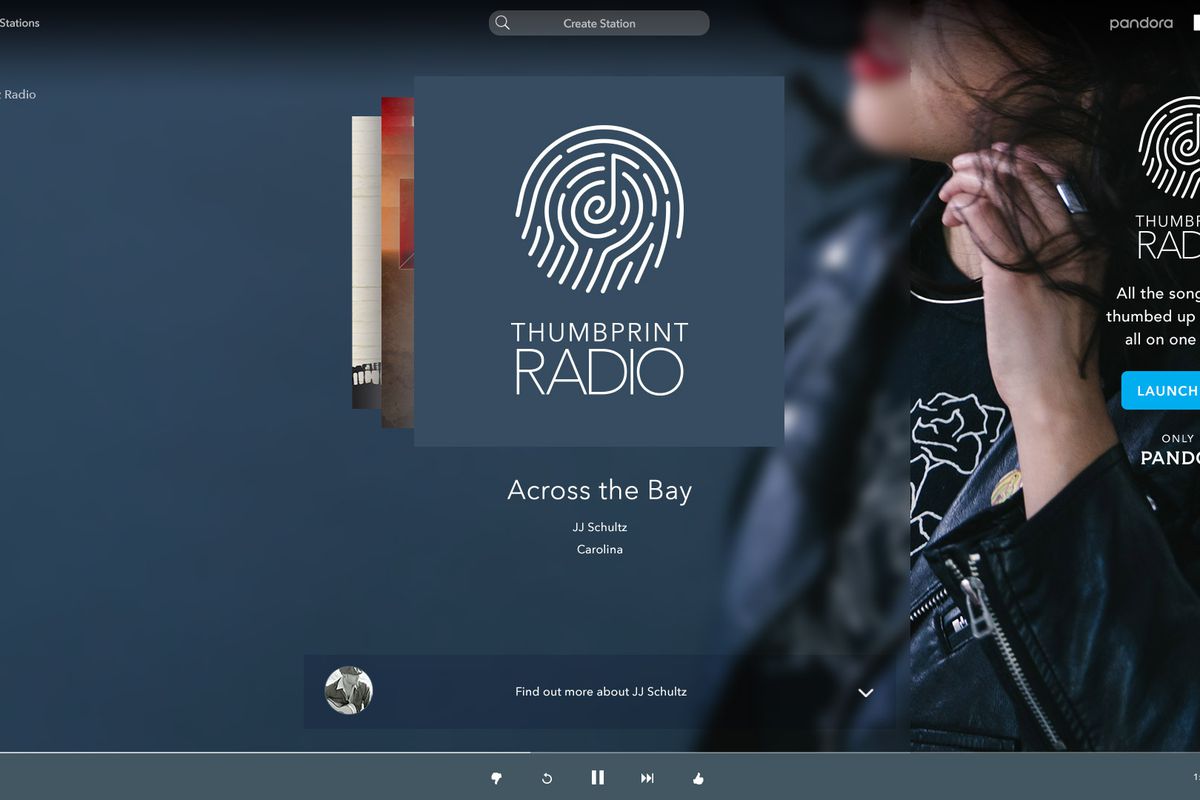 pandora-web_audio_skin_custom.jpg