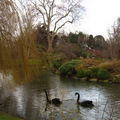 Queen Mary's Gardens