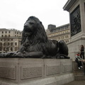 Trafalgar Square, Nelson's Column, National Gallery