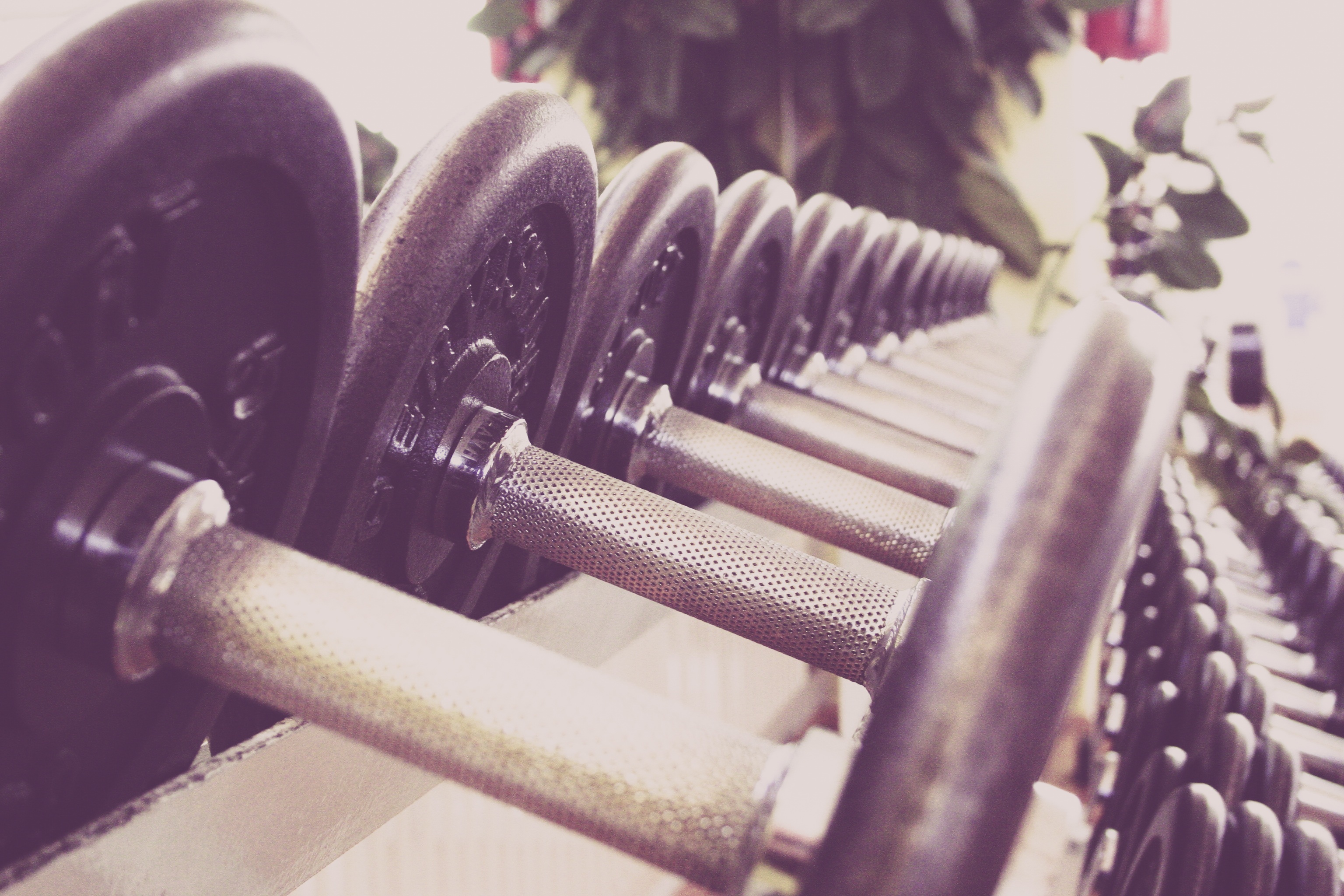 fitness-594143.jpg