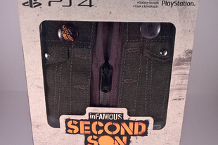 inFamous: Second Son