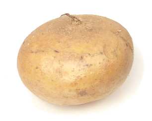 jicama5.jpg