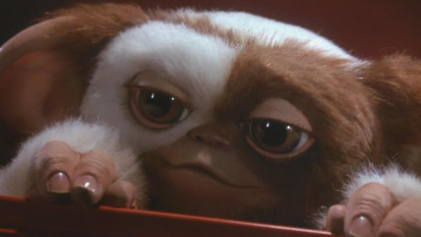 gizmo.jpg