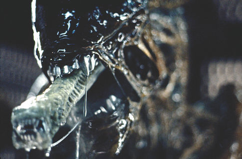 1979_alien_give_us_a_kiss.jpg