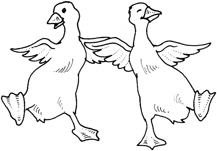 two-goose-dance-coloring-page.gif