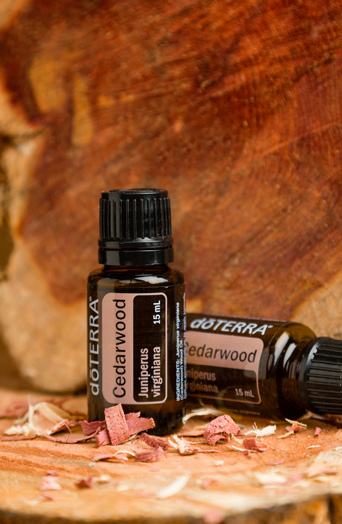 doterra-cedarwood.jpg