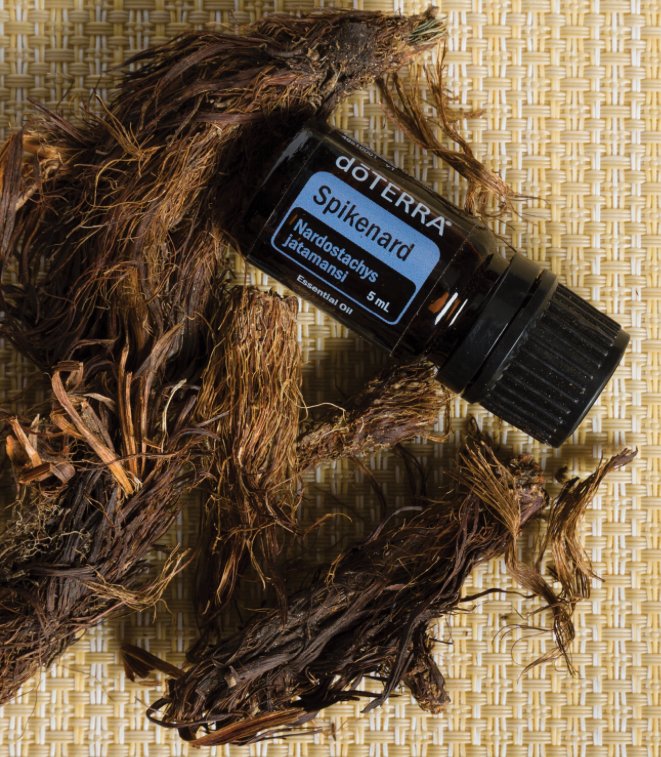 doterra-spikenard-oil.jpg