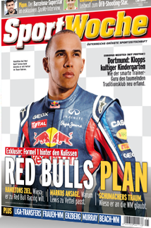Hamilton-Red-Bull1.png