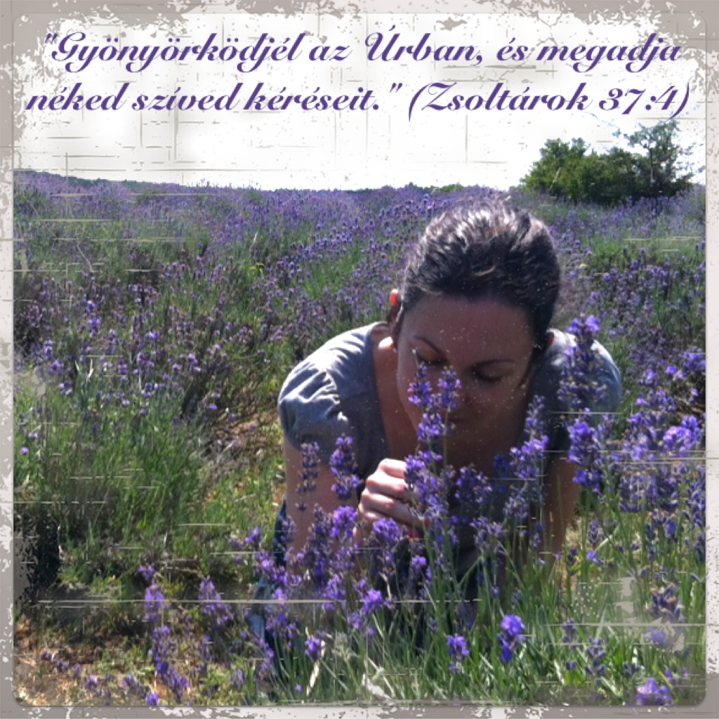 lavender_woman_bible_verse.jpg