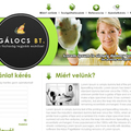 Gálocs Bt. weboldal és logo