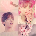 They don't know about us (ChanBaek)