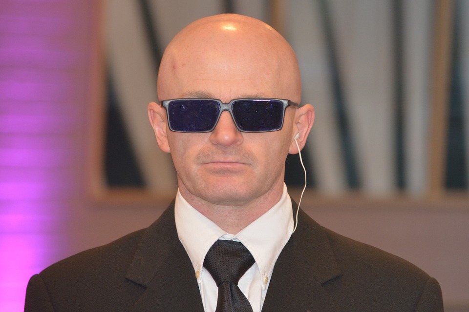 bodyguard-247682_960_720.jpg