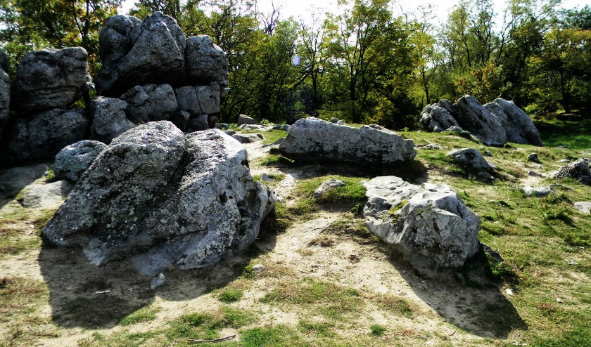 DSCN5024.JPG