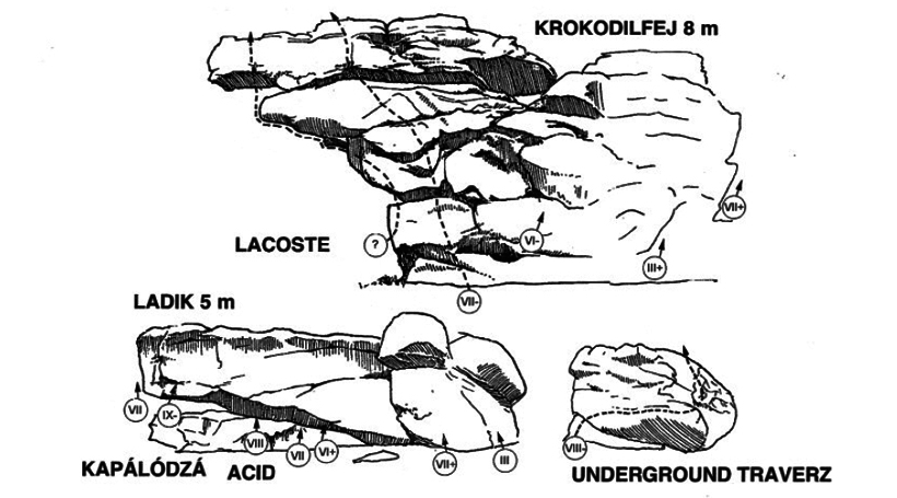 krokodilfej2.jpg