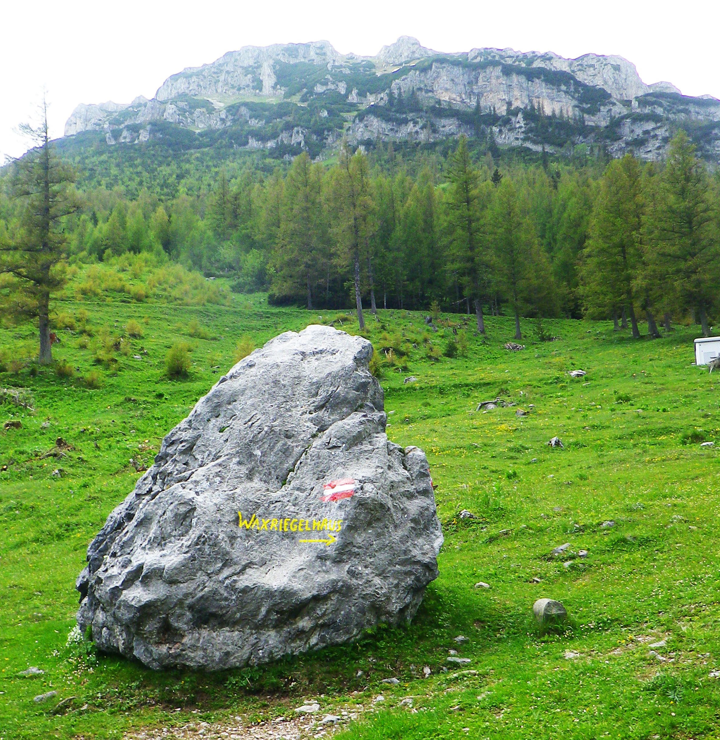 06.jpg