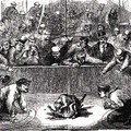 A pit bullok története