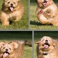 My favourite pictures of the week