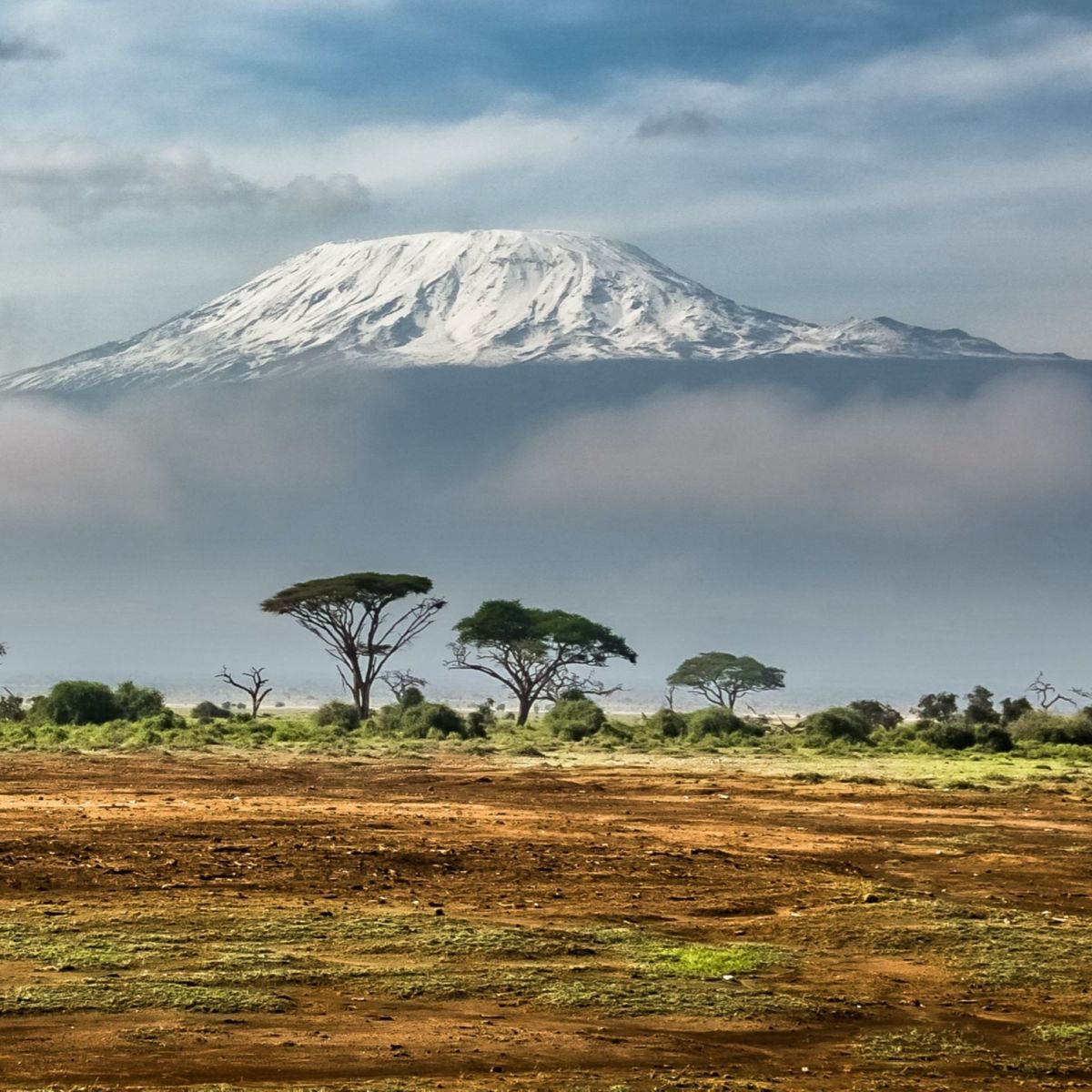 mt_kilimanjaro_seen_from_amboseli.jpg