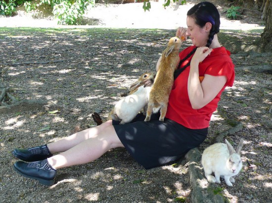 Okunoshima-rabbit-island2-550x412.jpg