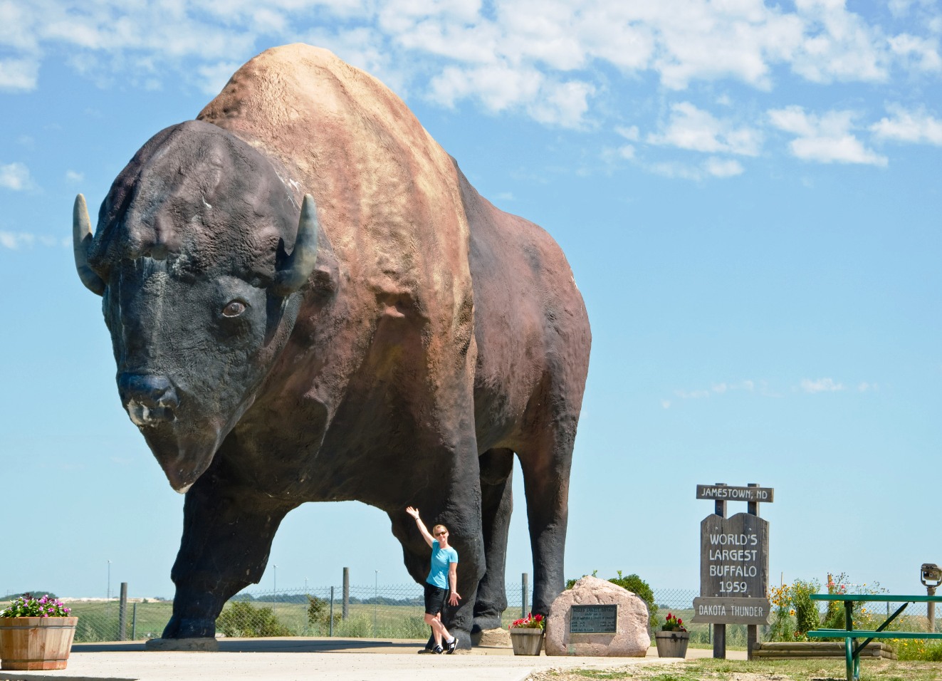 worlds-largest-buffalo.jpg